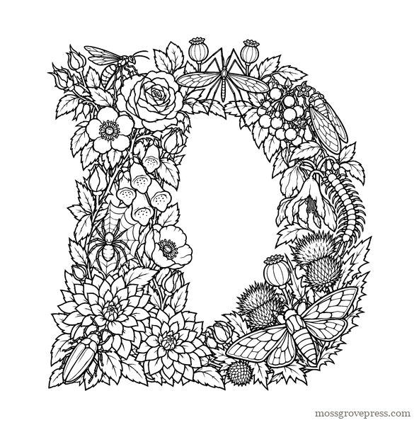Gothic Alphabet, inside page, line art