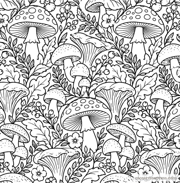 Cozy Cottagecore, inside page, line art